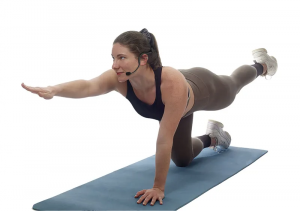 SAMSON ESWXPD2AHDE цифровая беспроводная система AirLine XD фото 7